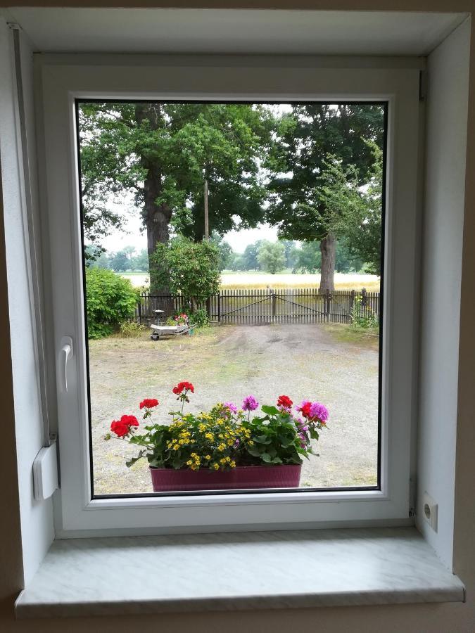 Ferienwohnung Bittner Klitten Zewnętrze zdjęcie